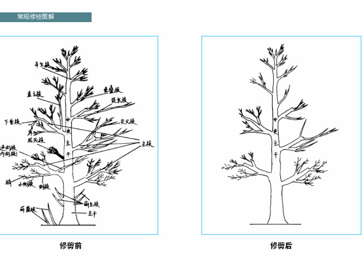 未命名_meitu_144.jpg